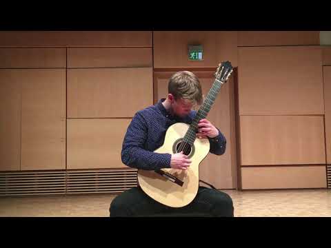 Northern Lights by Jan Depreter - Joseph Ingle