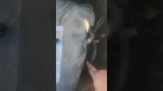 2011-2015 Hyundai Elantra 1.8L EVAP Purge Valve Replacement