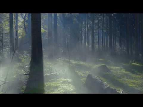 The Gray Havens - Ghost of a King [Legendado]