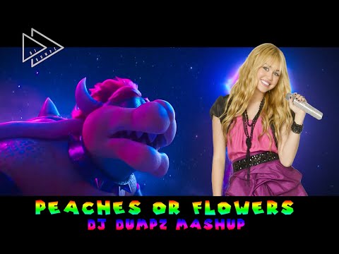 Bowser vs @MileyCyrus - No Flowers, Only Peaches 🍄 BEST FULL SONG  🐢 Super Mario Bros ⭐ DJ Dumpz