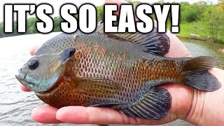 Why Bluegill Fishing NEVER Gets Old: Easy Bank Fishing For Panfish!