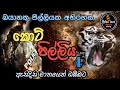 Holman Katha කොට් පිල්ලිය Episode 4 Sinhala Holman Kattha Holman Video