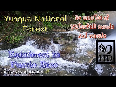 30 minutes of Rainforest waterfalls Sleep meditation relaxation Yunque National forest Puerto Rico