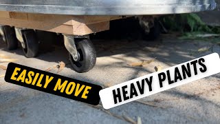 Shepherd Hardware 9854 Plant Dolly Review: Easy Moving for Your Plants!