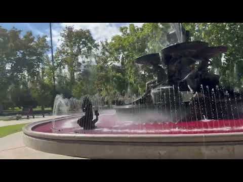 A Walk Through Parque General San Martín Mendoza