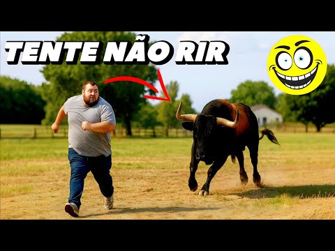 Memes BR and MEMES MIRANHA