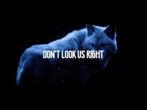 KAZZE & Sam Tinnesz feat . Silverberg - Wolves