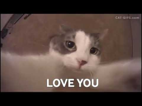 miujķhhjuuhhjji8yhuhuys