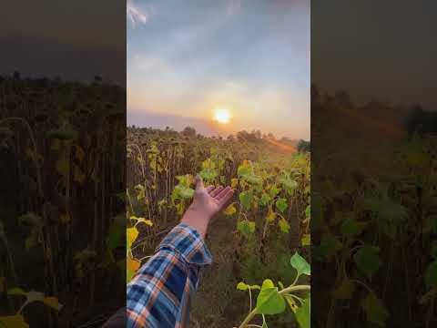 Baawra 🫶           #kushagra #tanishkabahl #baawra #urdebut #shorts