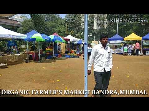 download lagu mp3 mp4 The Farmers Store Bandra, download lagu The Farmers Store Bandra gratis, unduh video klip The Farmers Store Bandra