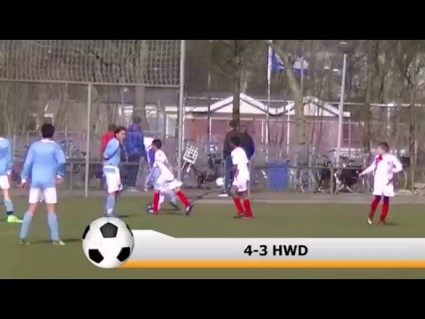 Samenvatting Hermes DVS D2  -  HWD D1