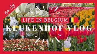 vlog🇳🇱│はじめてのオランダ&キューケンホフ公園vlog│ベルギー駐在妻,海外帯同,駐妻,ヨーロッパ観光