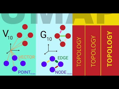 UMAP explained in 1 min - Dimensional Reduction Algorithm in 3 steps