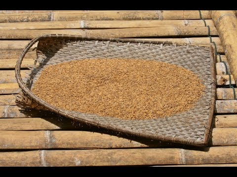 Pavle Runić - "Rešetanje naroda Božijega" - 5.5.2018.