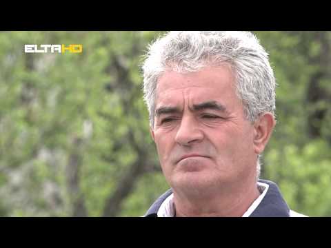 BL HRONIKA 21 04 20 - BIJELI POTOK