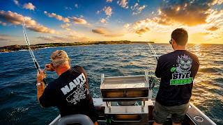 Download lagu Bonito and Kingfish mp3 Download lagu Bonito and Kingfish mp3