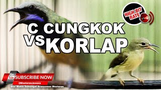 Download lagu #1 🔴 Masteran Tembakan Tajam Cucak Cungkok VS Kolibri Kelapa❗️Masteran Ampuh❗️ mp3 Download lagu #1 🔴 Masteran Tembakan Tajam Cucak Cungkok VS Kolibri Kelapa❗️Masteran Ampuh❗️ mp3