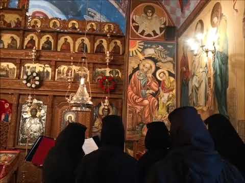 20190127 NICOLAE BALASOIU – VINDECAREA ORBULUI DIN IERIHON