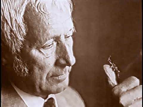 Ein abenteuerliches Herz: Ernst Jünger - Das Porträt (1995)