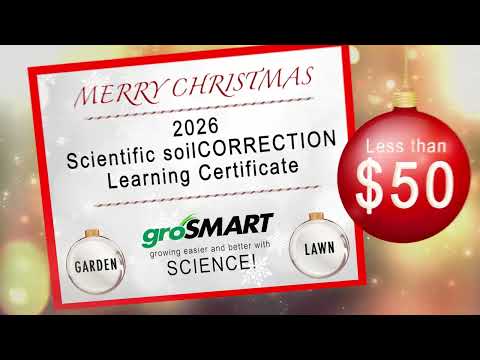 groSMART Christmas for Him