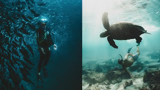 Galapagos : las islas encantadas — vidéo espagnol
