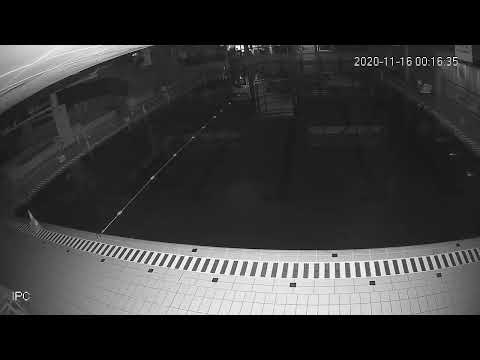 Letňany Lagoon, Bazén – živé vysílání