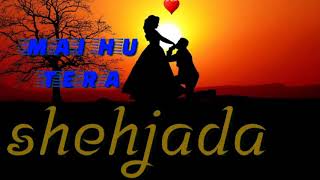sun meri shehzadi main tera shehzada lyrics - YouTube