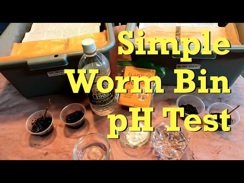 Checking pH in worm bins with vinegar & baking soda - vermicomposting
