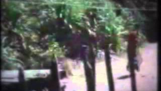 Delta 9 - ANB Suppository Rectal Anarchy