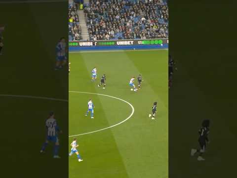 Scintillating Seagulls #brightonandhovealbion #chelsea #ferdikadioglu