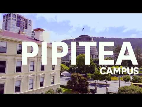 What will you become? Study at Victoria University of Wellington, New Zealand