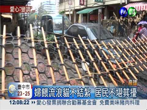 愛心太"霸道"! 婦顧餵貓不管髒亂