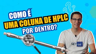 COMO É UMA COLUNA DE HPLC POR DENTRO?