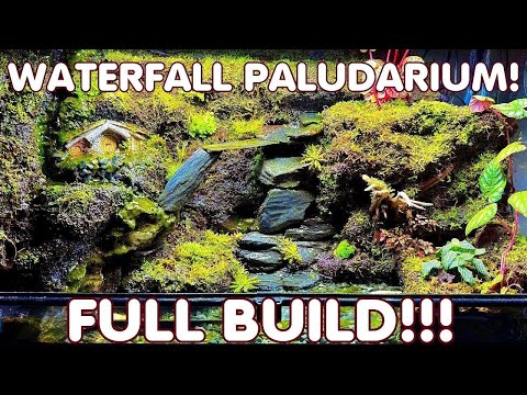 Epic Waterfall Paludarium Build!