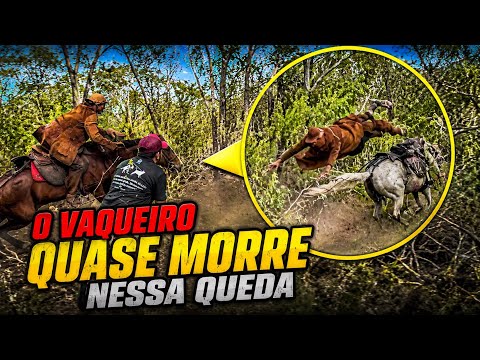 12ª carreira da Vaca Quixabinha - Andorinha/BA