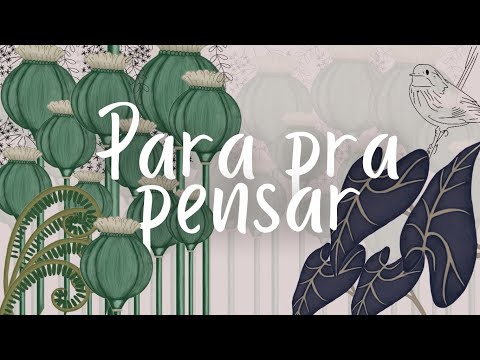 Para Pra Pensar - Lorenza Junqueira