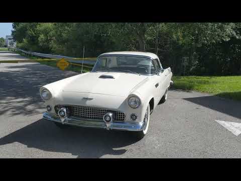 1956 Ford Thunderbird (CC-1377983) for sale in Palmetto, Florida