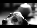 Bill Evans - Emily 