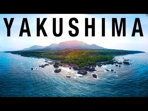 YAKUSHIMA Japans grünste Insel! Am Schauplatz von Prinzessin Mononoke