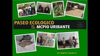 preview picture of video 'Paseo Ecologico del Café Mnpio. Uribante Táchira - Venezuela'