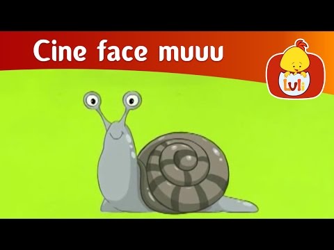 Cine face muuu? - Melc, pentru copii - Luli TV