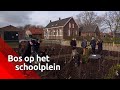Bomen of een moestuin op het schoolplein: steeds meer basisscholen worden groen