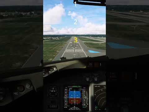 Get the perfect 737 landing in 1 minute!  #msfs2020 #pmdg737