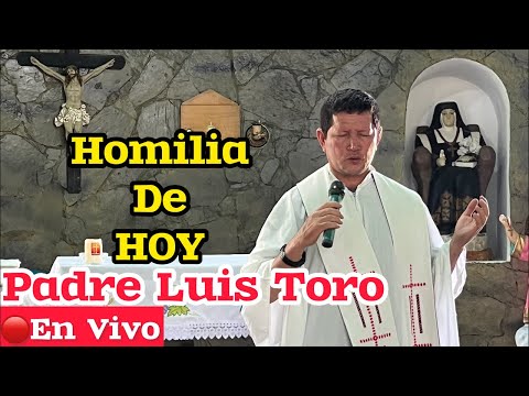 BEAUTIFUL and POWERFUL HOMILY TODAY ✅Father Luis Toro 🔴Live