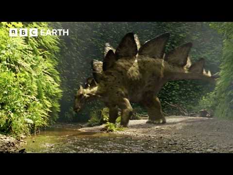 Stegosaurus vs Allosaurus Face-Off | Walking with Dinosaurs (1999) | BBC Earth Science