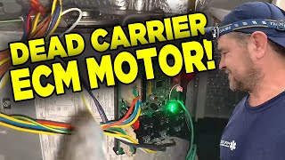Help! Carrier Infinity Blower Communication Error 44 - Dead ECM Motor Replaced w/ PSC & QwikSwap V3