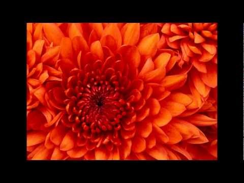 MASHUP Madison Avenue - Don't Call Me Baby  / Macromism - Groover