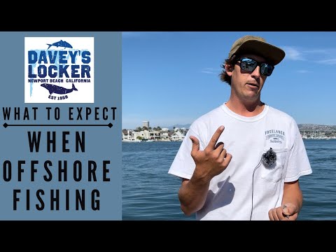 What To Expect When Offshore Fishing | Summer Fishing 2022 | Newport Beach CA