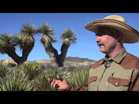 download lagu mp3 mp4 Good Trees For West Texas, download lagu Good Trees For West Texas gratis, unduh video klip Good Trees For West Texas
