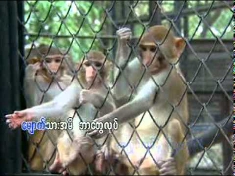 Myanmar Children songs ( သူတို႔ဘဝနဲ႔ သူတို႔ေတြ )